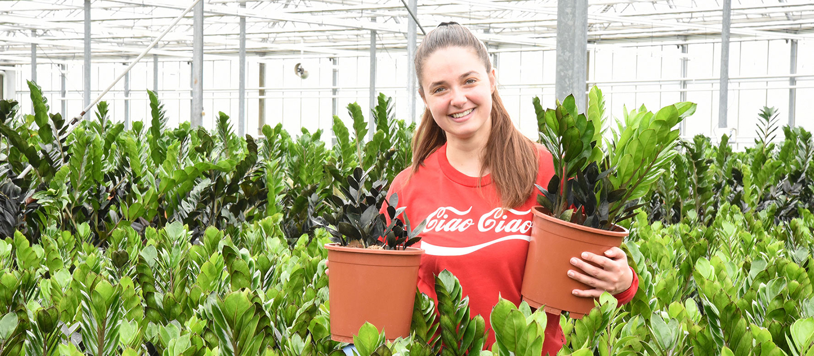 Zamioculcas GEWAS slider 2